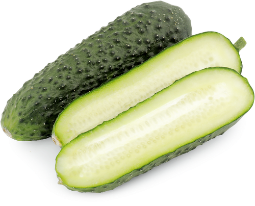 Огурцы короткоплодные